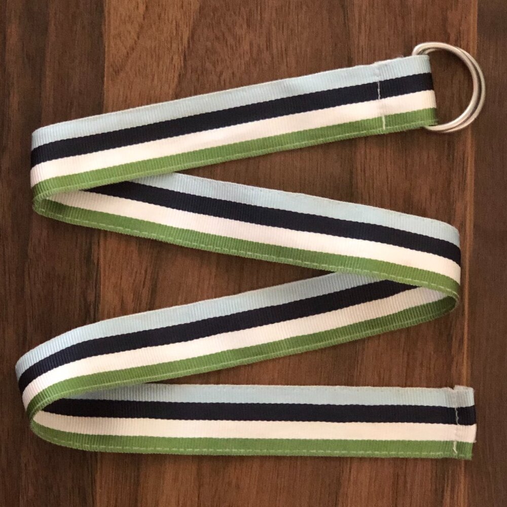 Gymboree ~ Dandelion Wishes ~ Ribbon Belt {26.5"} Fits Age 5-6-7-8 Yrs